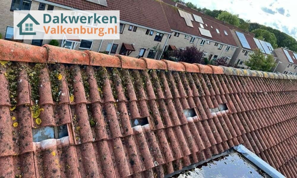 Een dakrenovatie bij oud pannendak Een dakrenovatie bij oud pannendak in Valkenburg